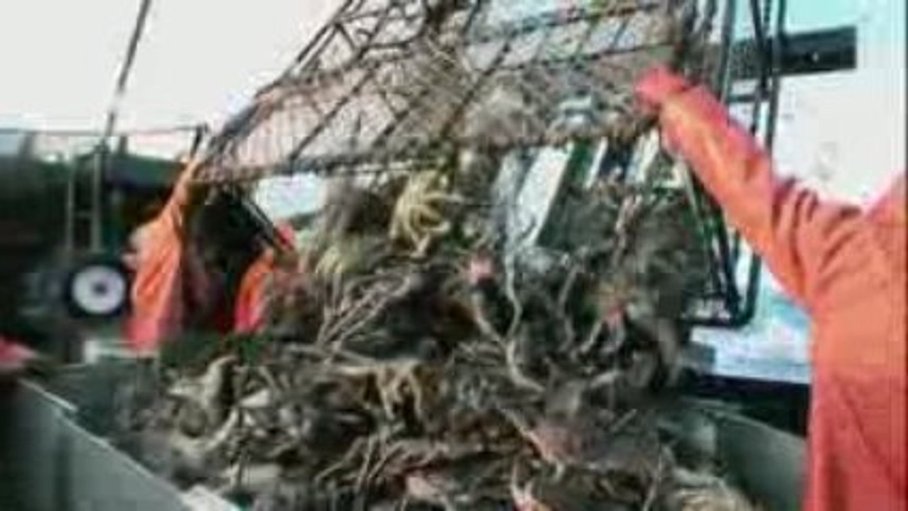 Catch returns 4/14 @ 9pm on Discovery! FULL TRAILER