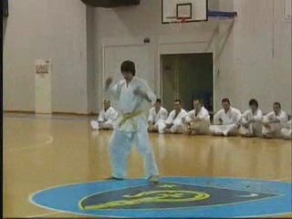 kyokushin Croatia