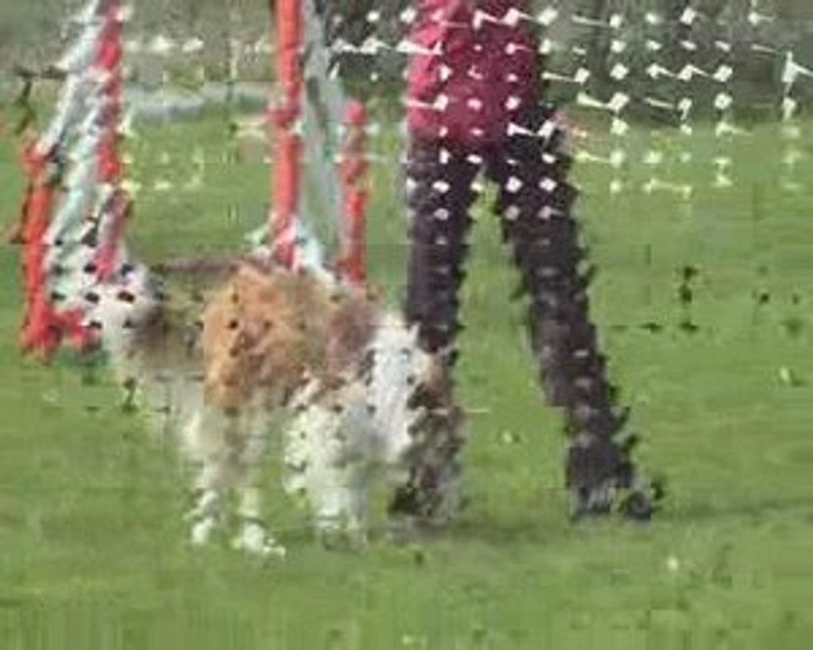 Jumping 13-04