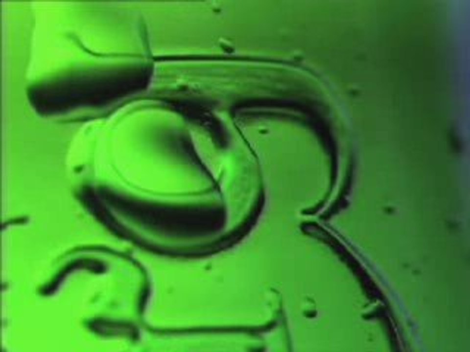 Carlsberg presents : The Carlsberg Show