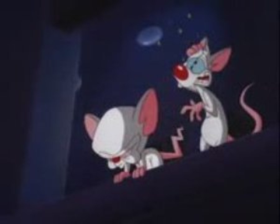 Pinky and The Brain - Hickory Dickory Bonk