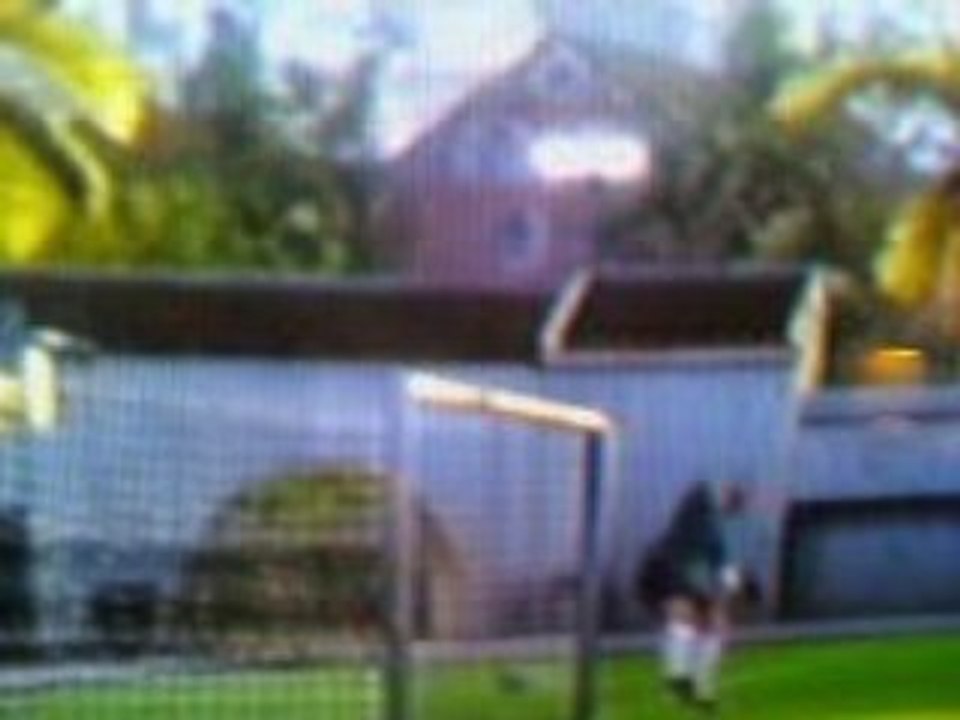 but fifa 09 but de ribery