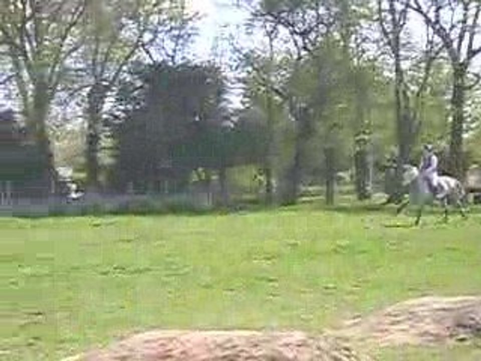 penie cross