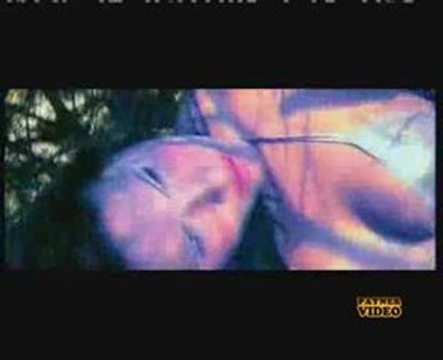 Maq - Shepa grqh