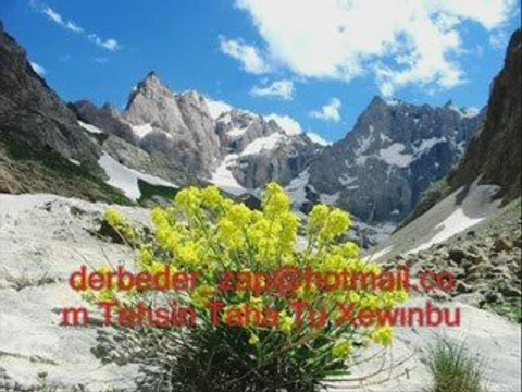 Tehsin taha tu xewınbu derbeder_zap tan