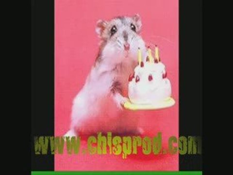 Un Hamster qui dance MDR