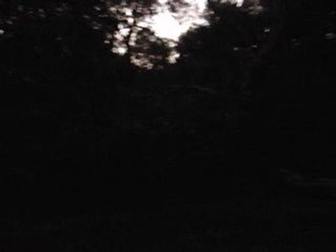 2009-03-28 -1-Seuls au monde...ou presque