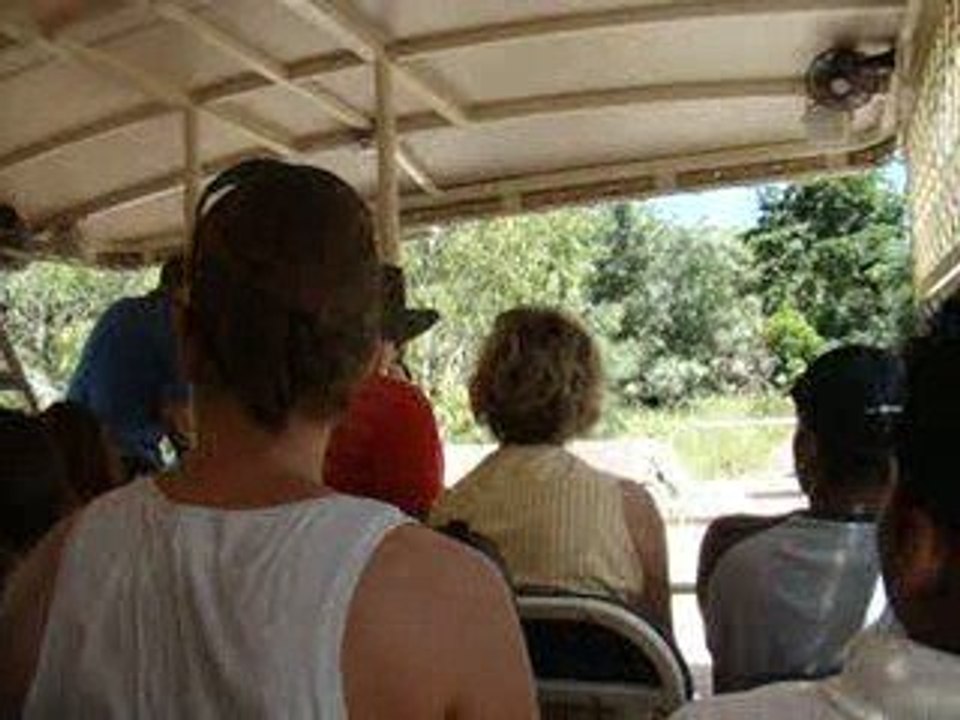 Harthley's crocodile park (2)