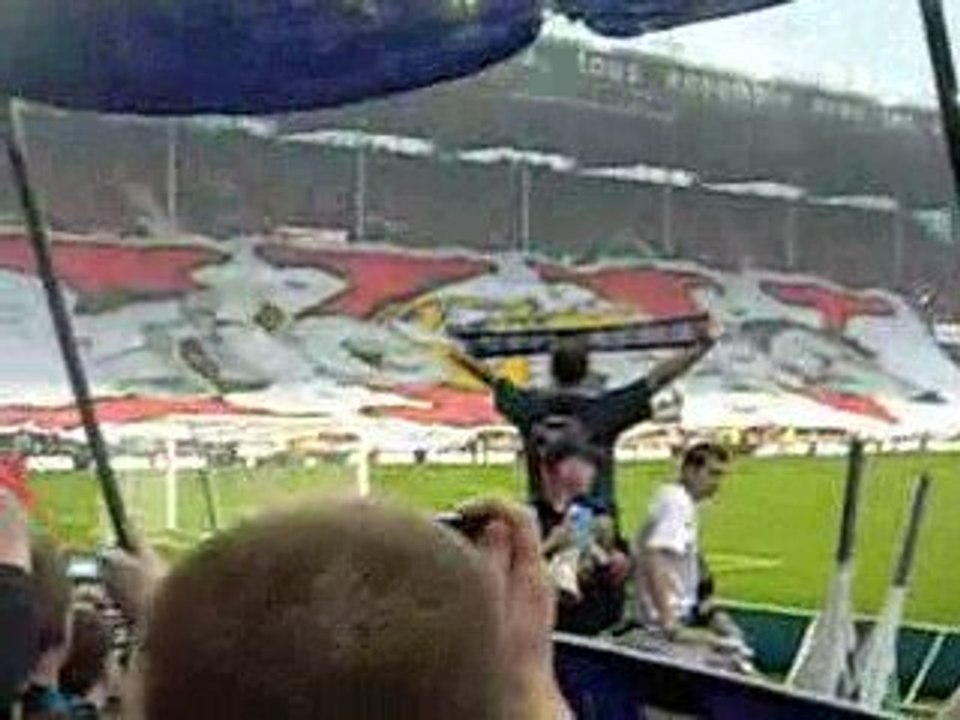 [ Lens - Strasbourg ] Tifo Red Tigers94