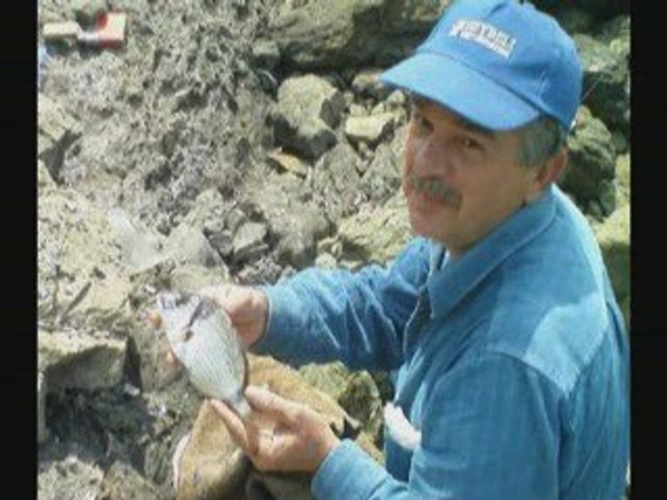 Türk Balık Avı 1.Kıyı Organizasyon Klibi