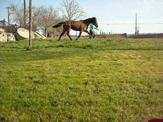 Paola premiere fois en stik to mee