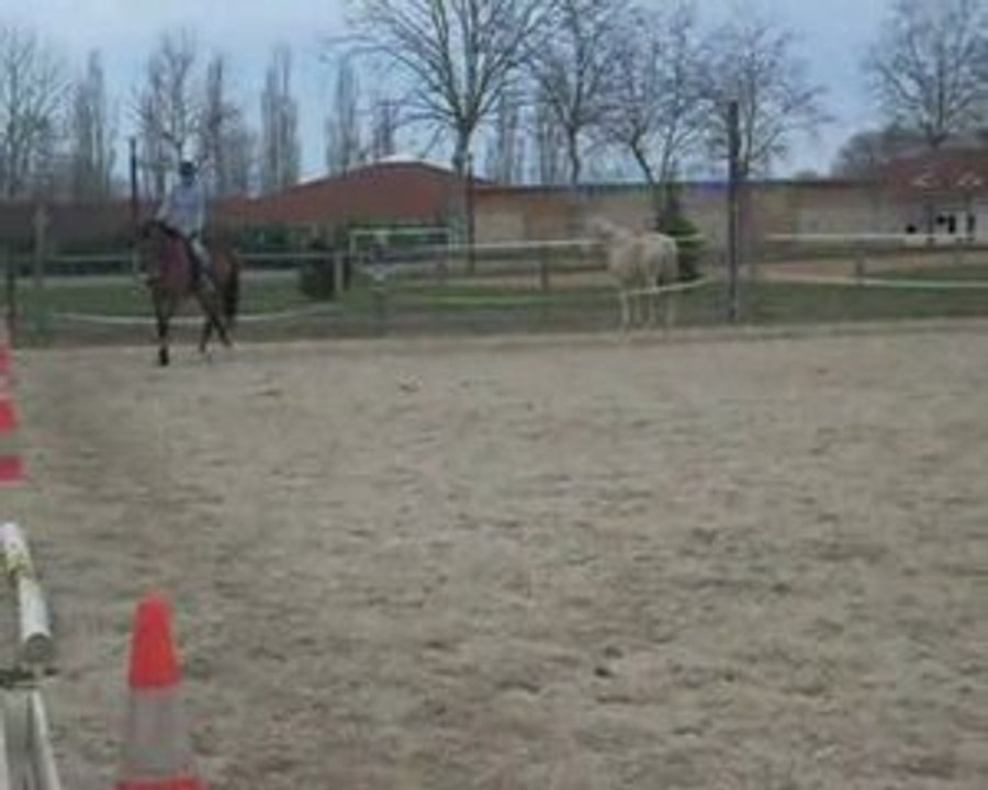 Marine et Fair reprise galop 6