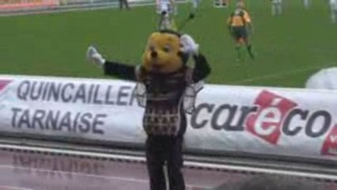 ALBI Rugby l'abeille