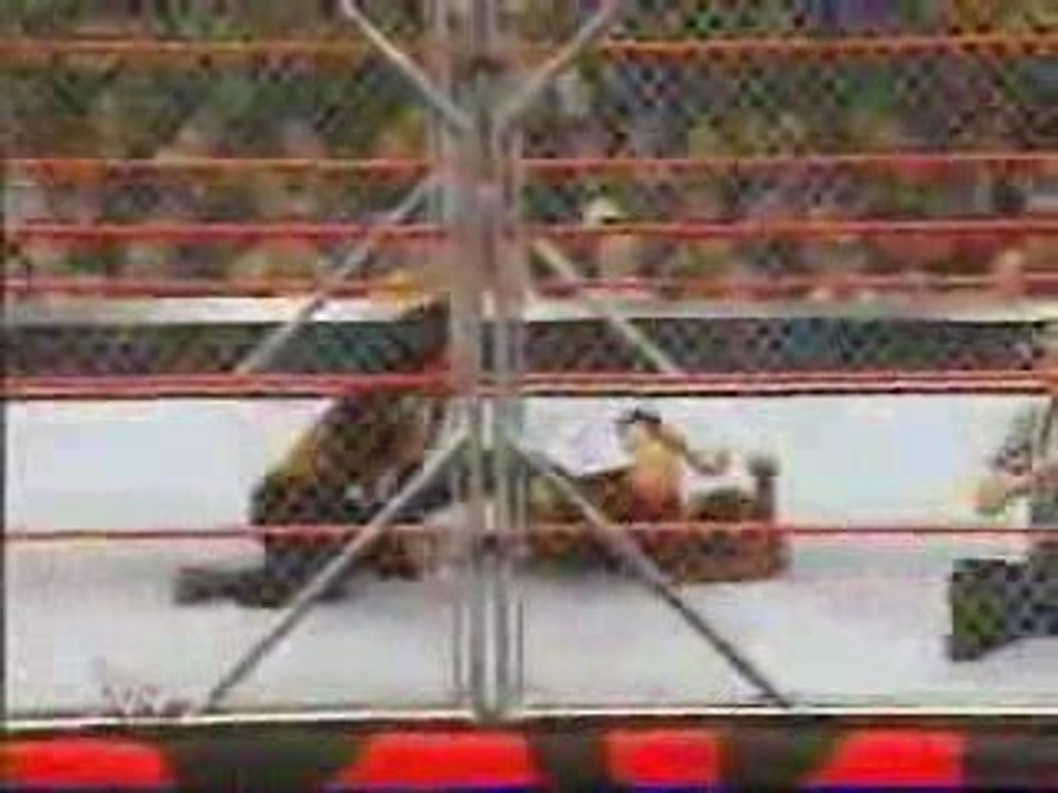 Victoria vs Lita Steel Cage Match