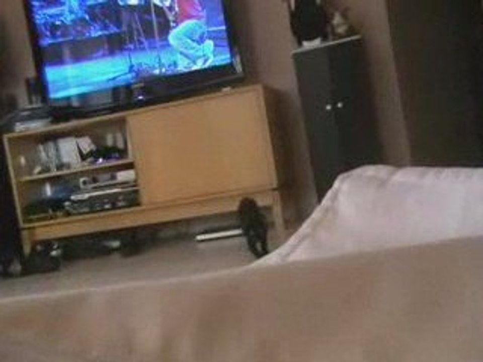 Ellie en folie - parties 2 et 3