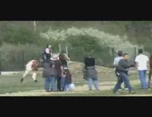 Cross Jablines Gaelle Hollywood