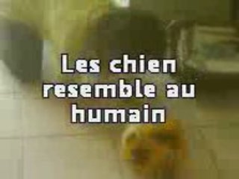 Fff