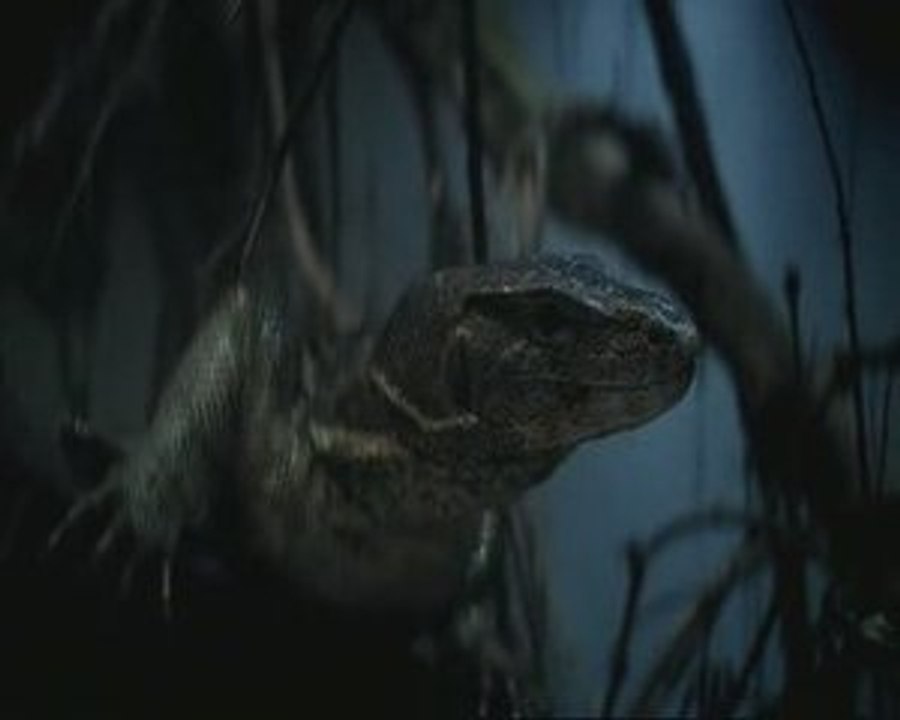 Yoda le livreur de pizza