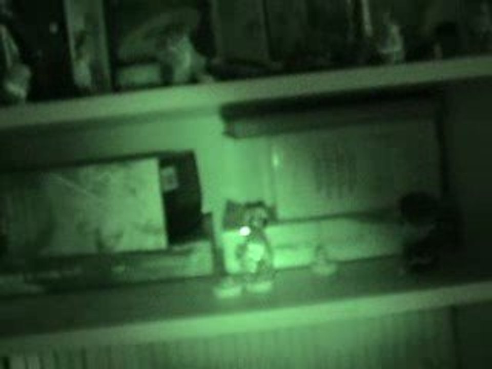 videoblog #1 sylink20