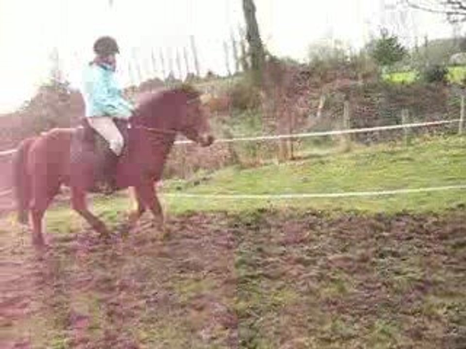xxx saut d'obstacle avec dodole xxx keralec xxx