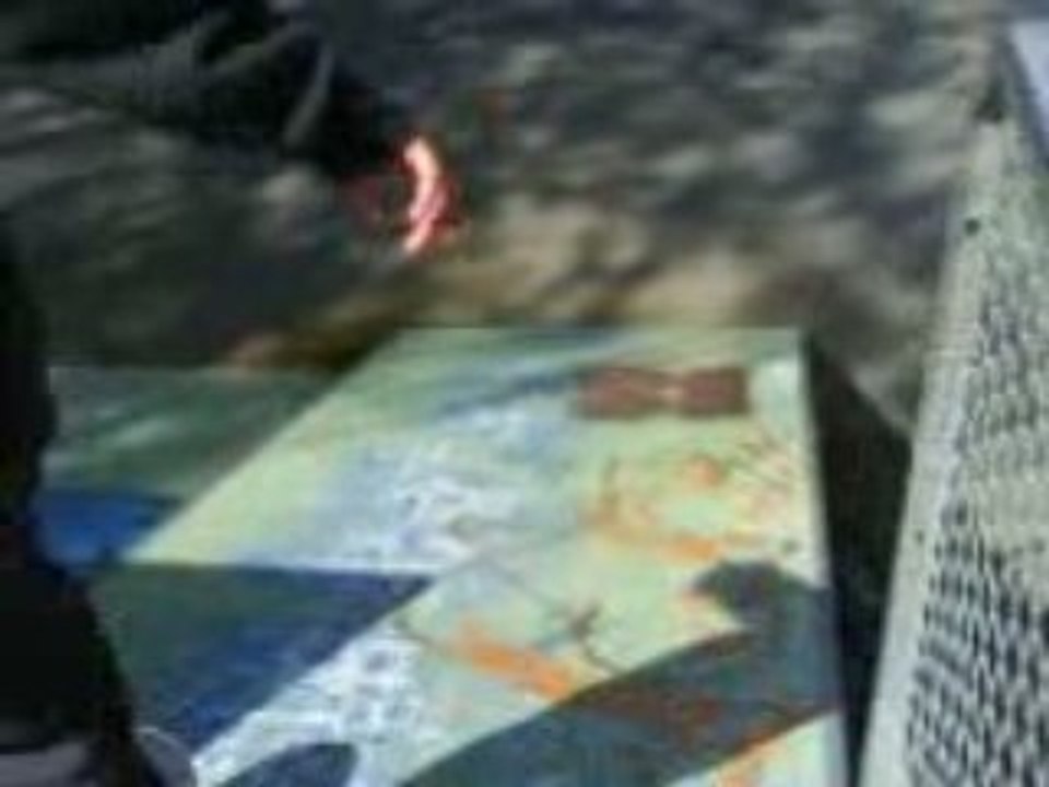 Skate brother sans musique