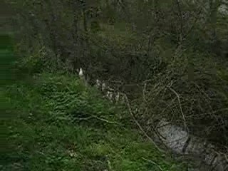 VIDEO LE LUNDI DE PAQUES 2009 012