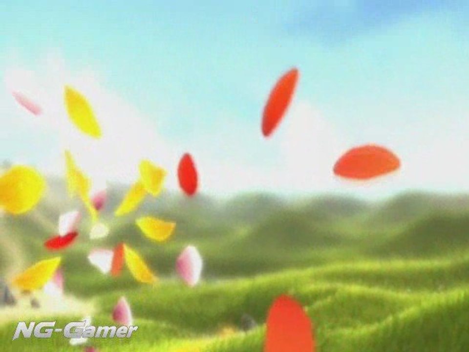 NG-Video: Flower review
