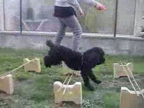 Alizée et ses sauts de puces