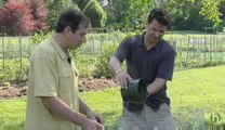 How to create and use compost in your garden