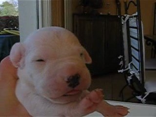 Film 2009_04_14 12ème jour