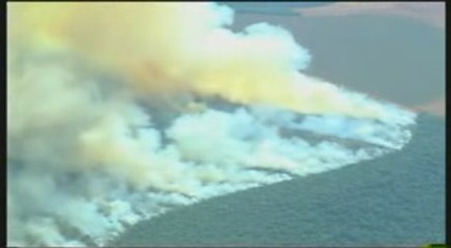 Profit déforestation et Mondialisation au nom du progrès 1/2