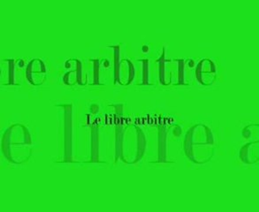 Mohamed Bajrafil - Libre arbitre, prière et divergences 2-8