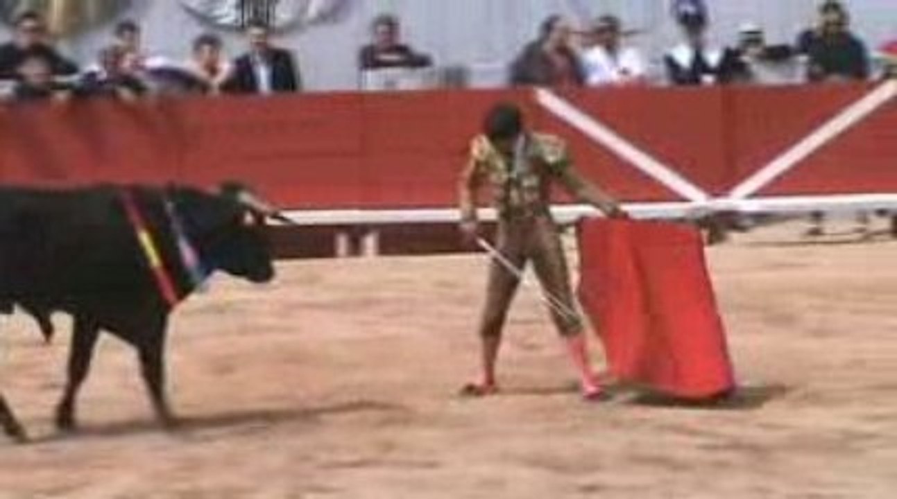 Arles 2009 : novillada non piquée