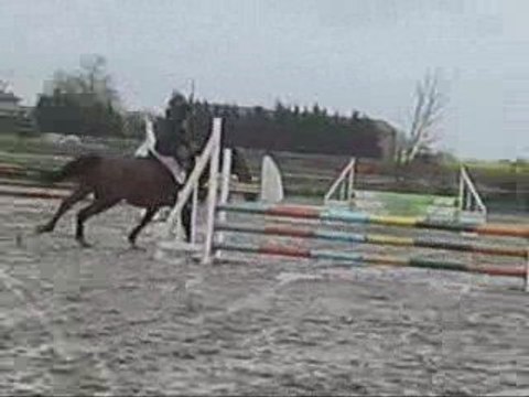 Concour du dimanche 12 avril 2009