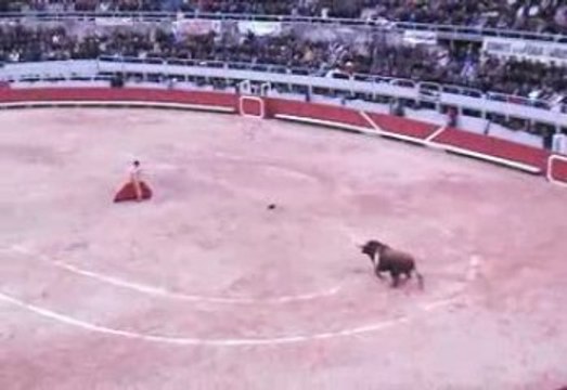 Sébastien CASTELLA 2 oreilles paques 2009