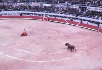 Sébastien CASTELLA 2 oreilles paques 2009