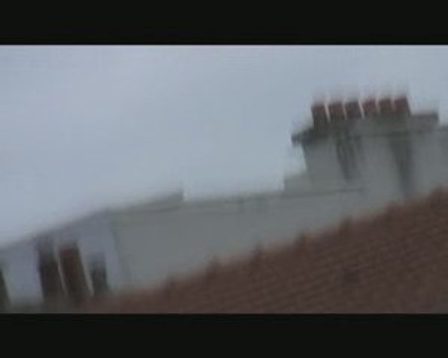 L'oiseau mort