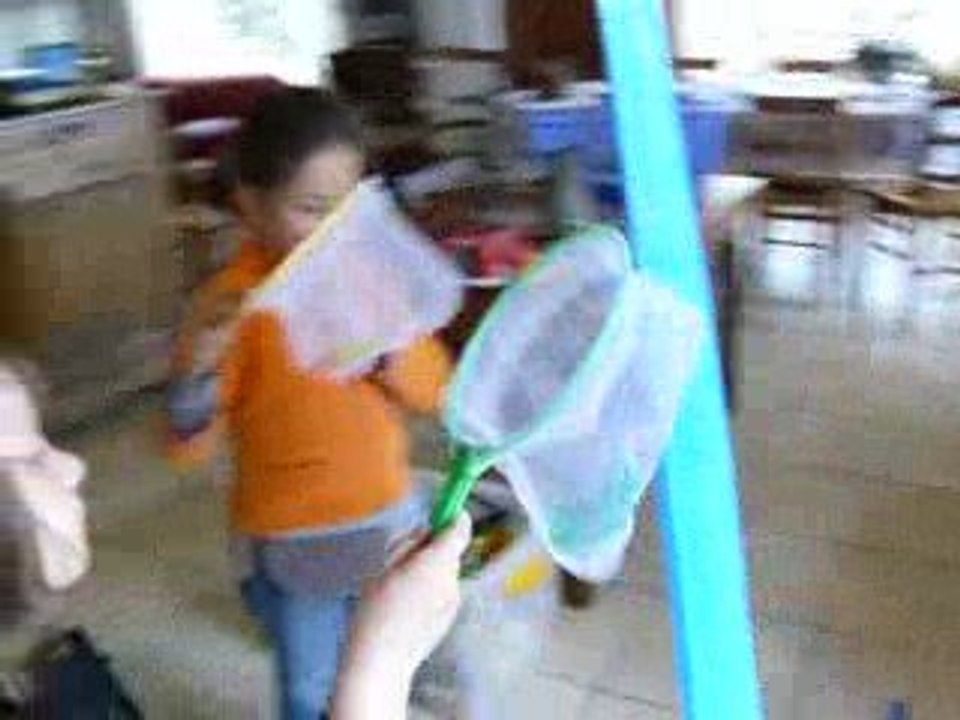 Elefun!!!