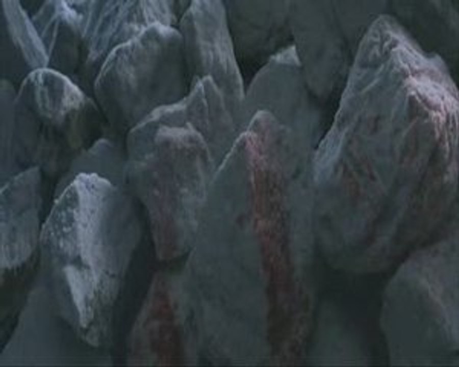 Alien versus predator montage perso