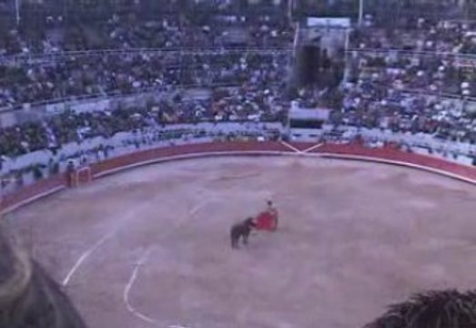 El Cid Victorino Martin Arles 2009