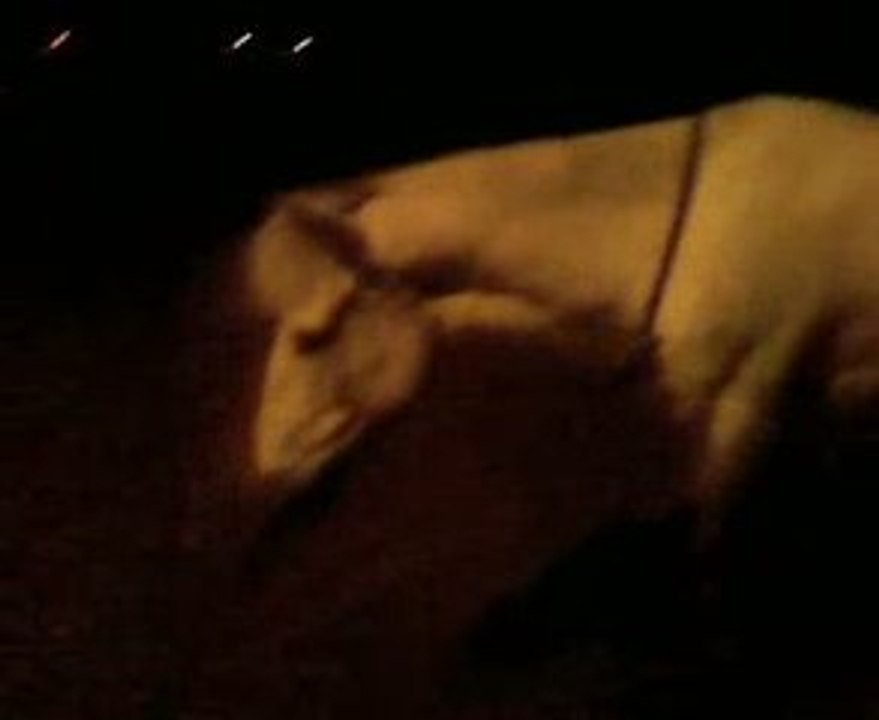 cour Vendredi soir Ousco and Mee