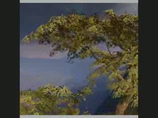 Trick - Hors limite au début de la tempète