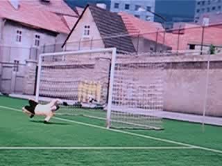 Plus beau pénaltie de fifa 09 dans l'arene