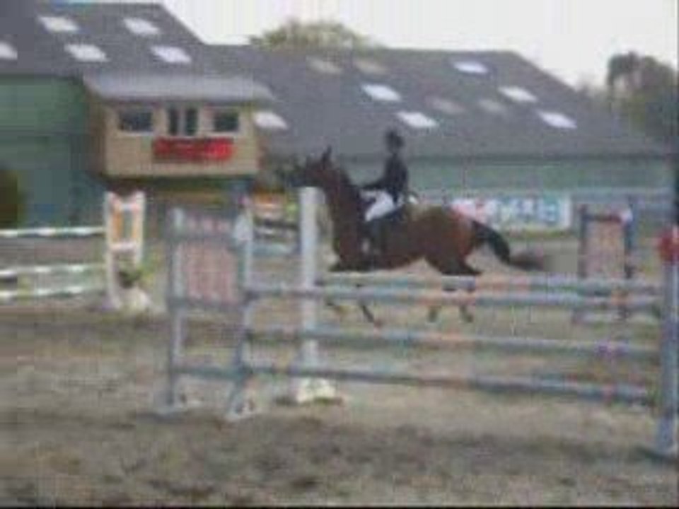 Concours chevaux (suite)