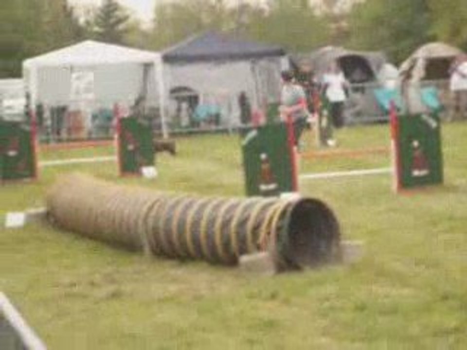 Concours d'agility Bourg-En-Bresse 19 avril 2009