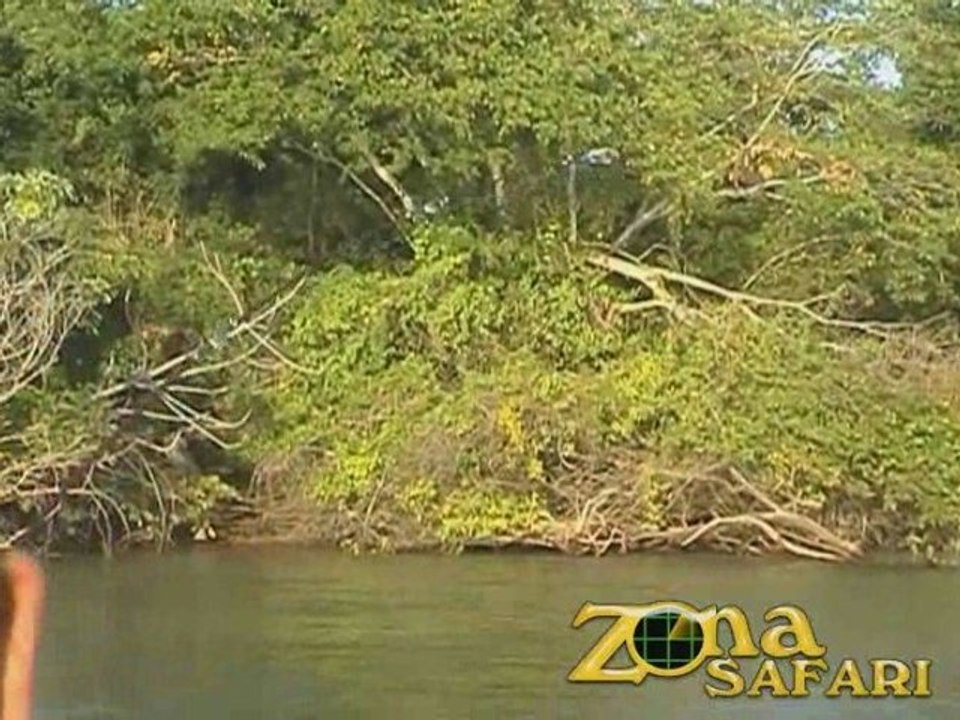 Pesca en Itá Ibaté con Lodge Gemelos #2