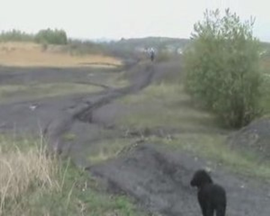 Un pti dimanche sur le terril de Haillicourt