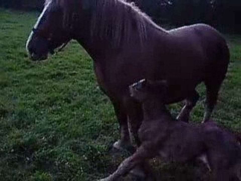 Naissance le 20 mai 07