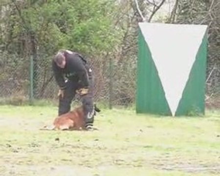 Gr5 1er sélectif Cransac 2009 Astek garde au ferme