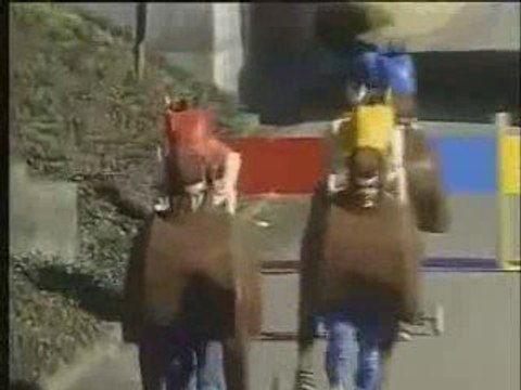 Jeux tv japonais - video gag japonais